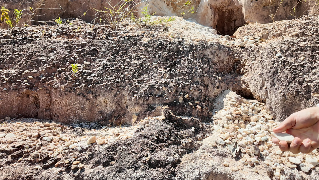 Une connaissance du sous-sol guyanais à actualiser