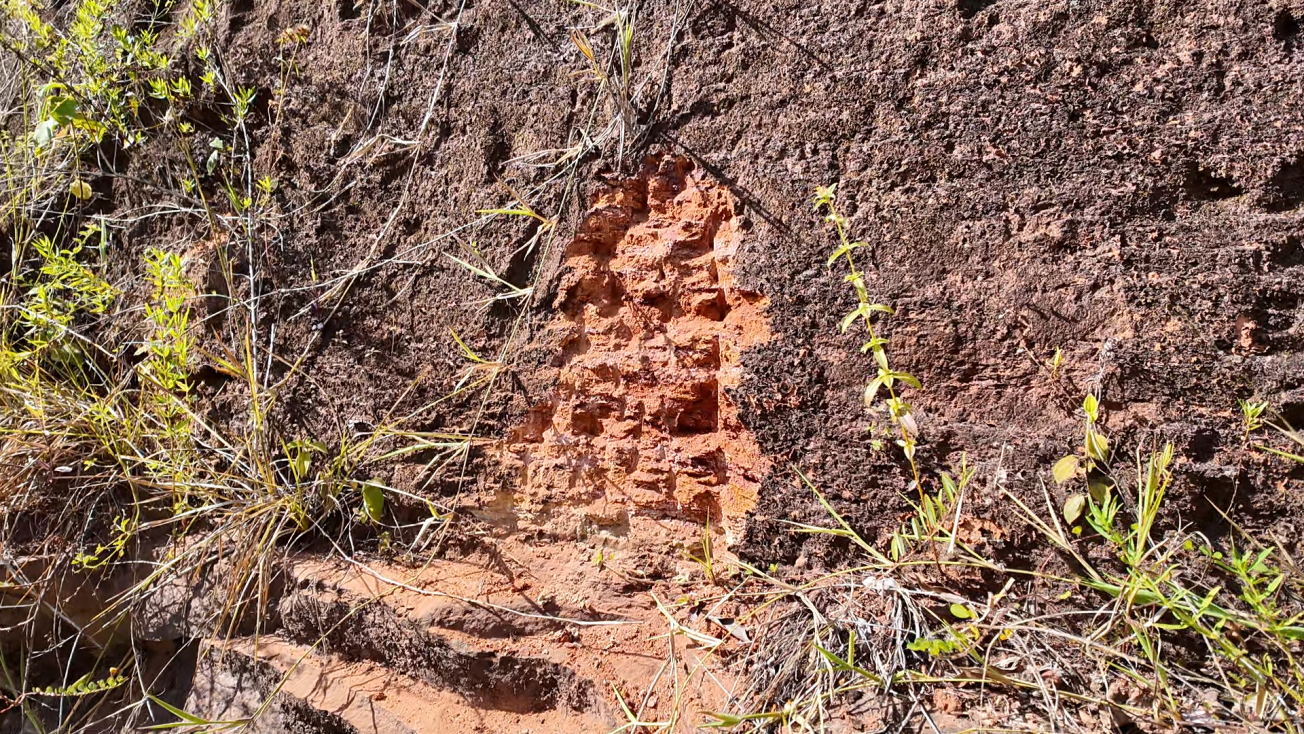 Une connaissance du sous-sol guyanais à actualiser