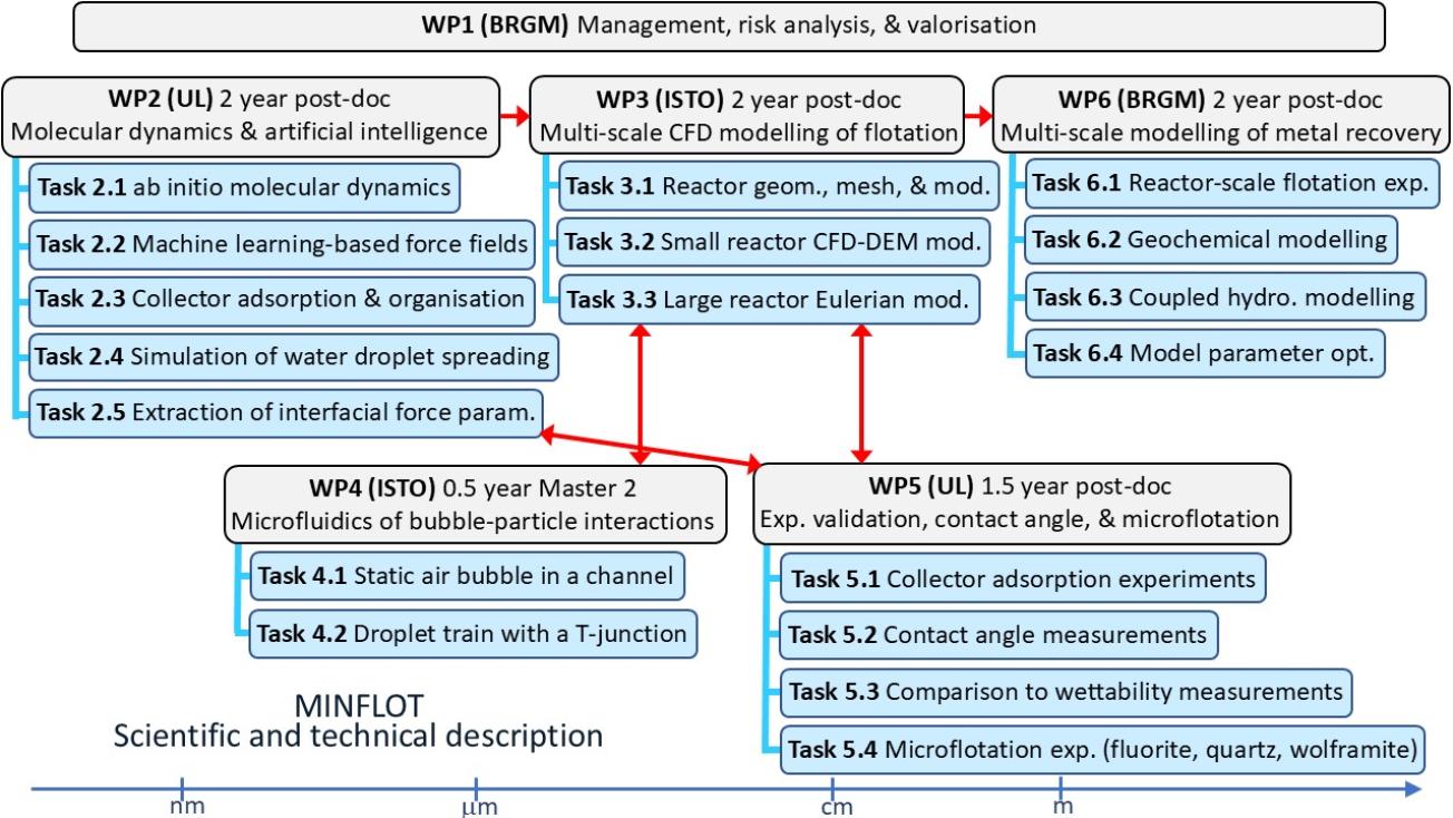 Organisation du projet