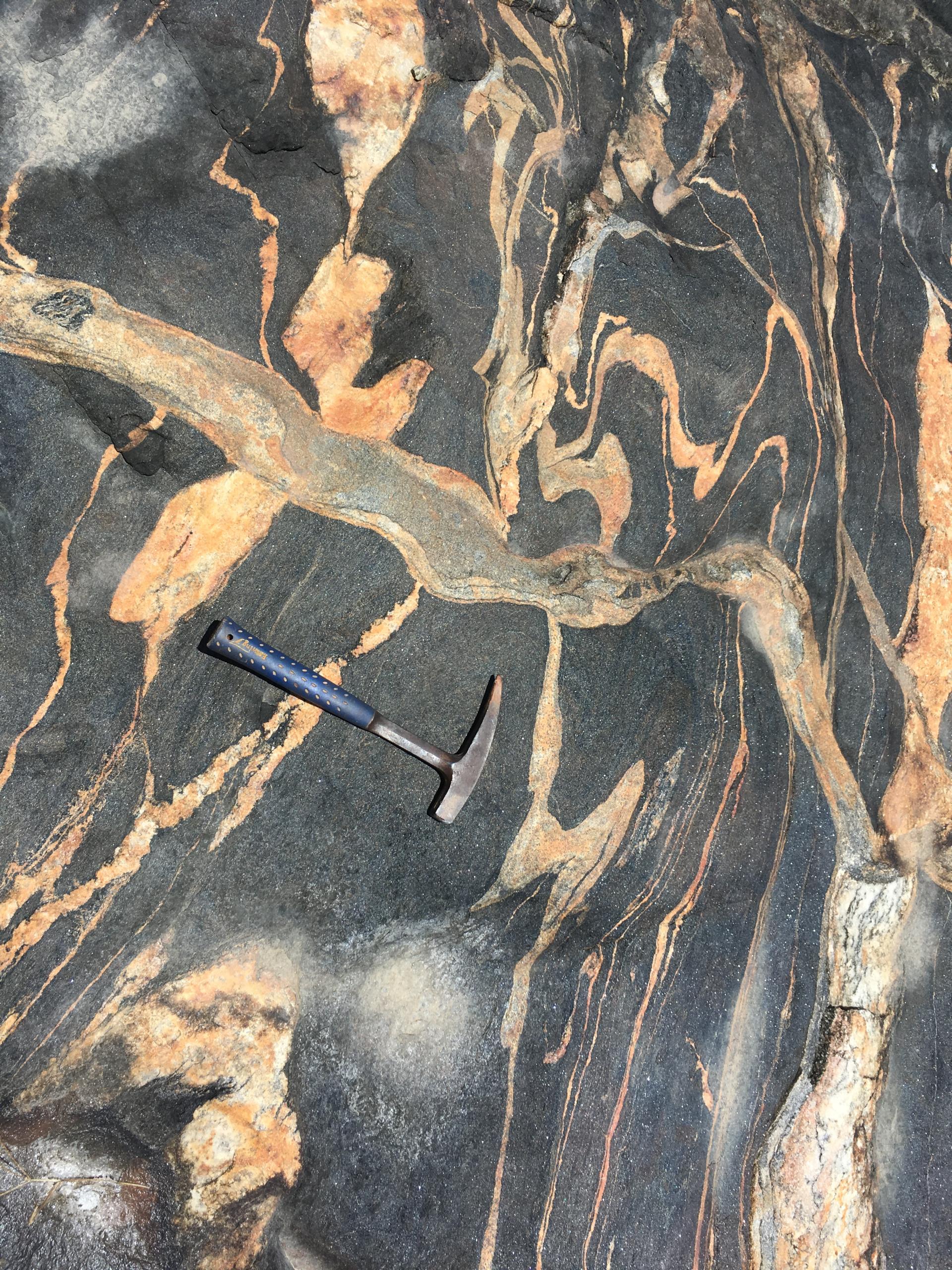 Amphibolite et veines acides tardives de la Pointe Buzaré