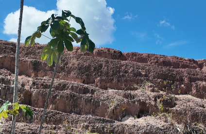 Une connaissance du sous-sol guyanais à actualiser.