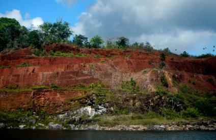 Un filon pegmatitique dans la région de Kourou