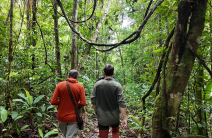 Sur la piste de Paul Isnard du côté de Saint-Laurent-du-Maroni (Guyane) : quand l'image révèle les relations des sociétés guyanaises à leur sous-sol.