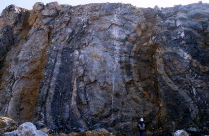 Slump métrique dans des calcaires du Viséen avec brêche calcaire résultant des premiers effets du raccourcissement varisque au front Nord de la chaîne varisque (Avesnois, Nord, 1998).