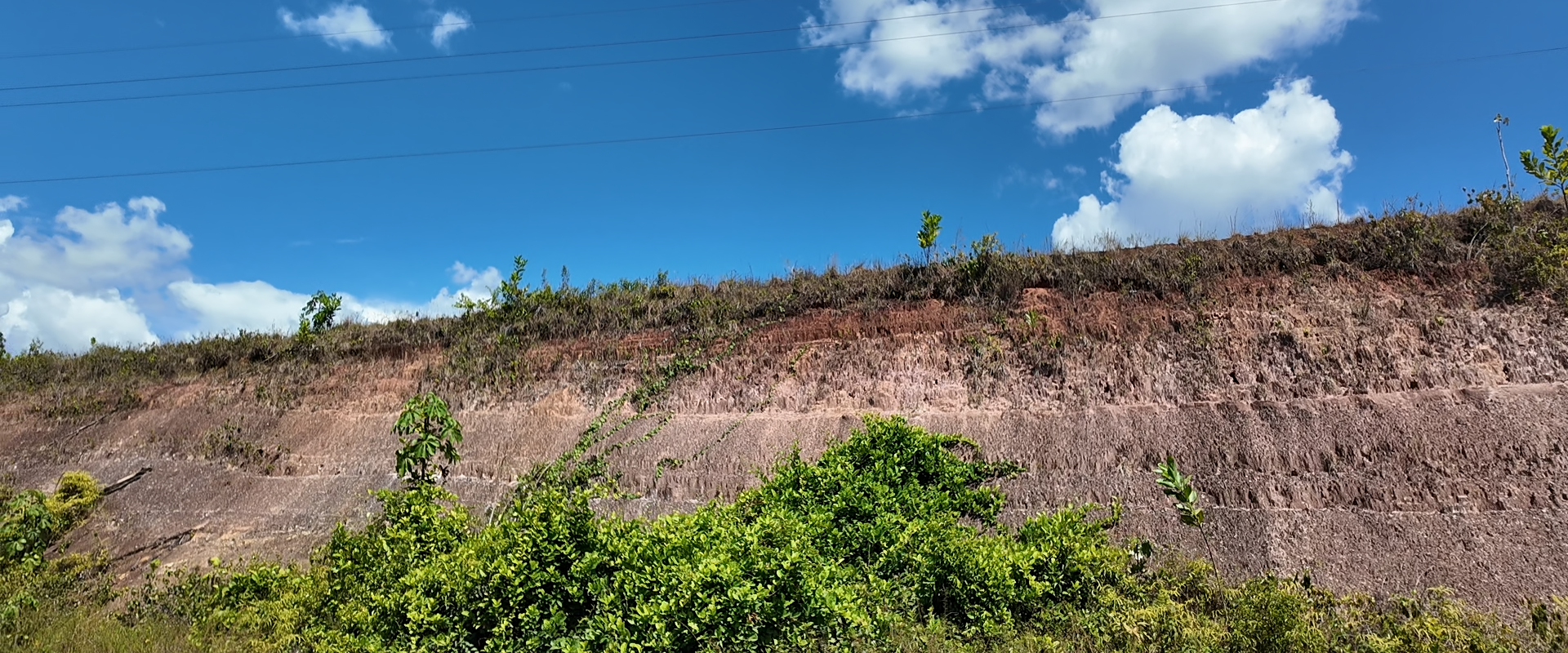 Une connaissance du sous-sol guyanais à actualiser