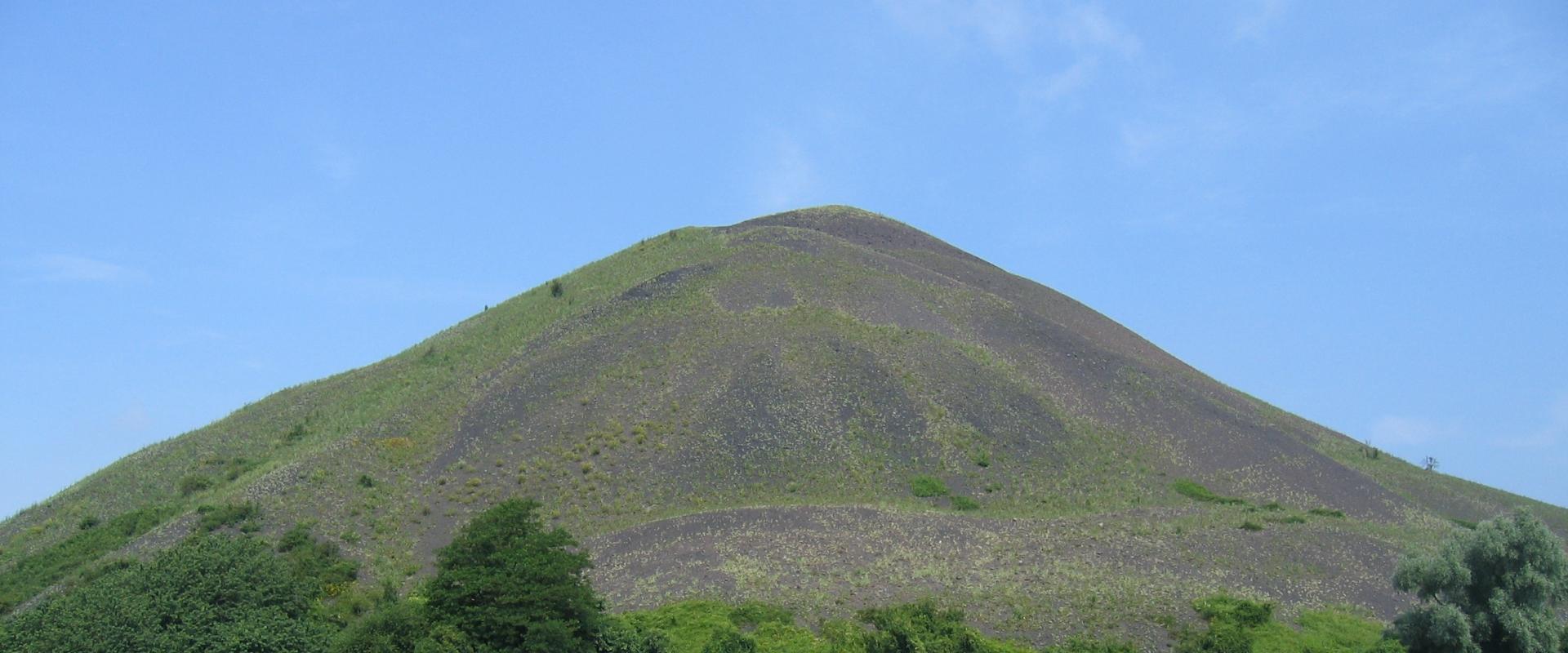 Grand terril bien conservé, vestige de l'activité minière passée (Bruay, Pas-de-Calais, 2006).