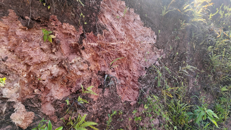 Une connaissance du sous-sol guyanais à actualiser